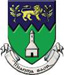 wicklow county council